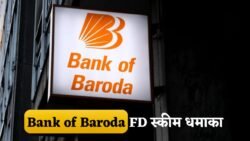 Bank of Baroda 555-Day FD स्कीम: ₹2 लाख निवेश पर मिलेगा ₹45,000 तक का बड़ा फायदा