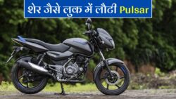 बब्बर शेर के लुक में लॉन्च हुई Bajaj Pulsar 125, पावरफुल इंजन के साथ मिलेगी 51KM/L की दमदार टक्कर