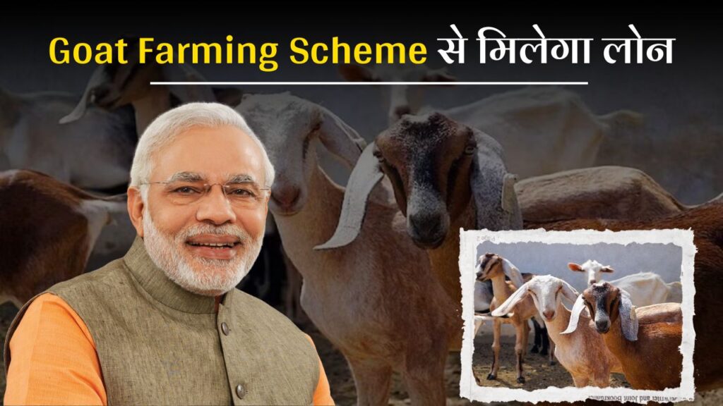 Goat Farming Loan Yojana 2025