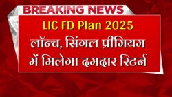 LIC FD Plan 2025: एलआईसी नव जीवन श्री प्लान 911 सिंगल प्रीमियम