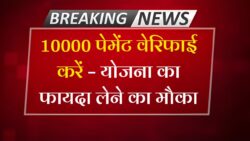 Mahila Rojgar Yojana 2025 : सरकार महिलाओं को दे रही ₹10000, ऐसे करें Online Check और Payment Verify ।
